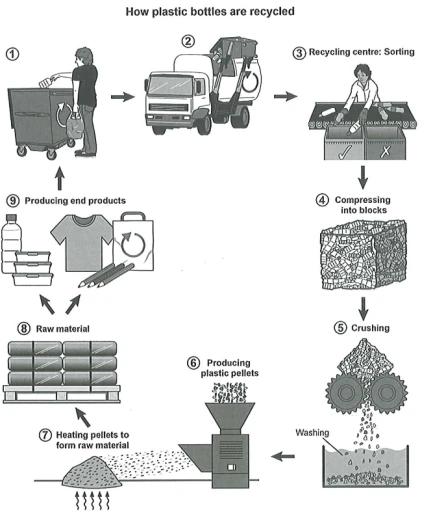 The diagram shows the process by which plastic is recycled. Summarise the information by selecting and reporting the main features.