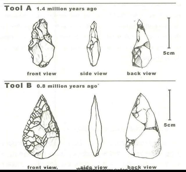 The diagrams below show two cutting tools made from stone. They are from an early period and a later period of human history. The tools were made by breaking off small pieces of stone.