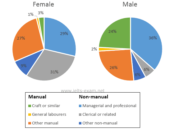 The two pie charts give information on the propotion of males and females in employment in six general categories in 1992, they divided into manual and non-manual. Manual occupation includes Craft or similar, General labourers and other manua