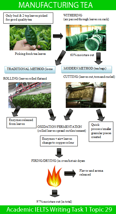 The diagram below show two different processes for manufacturing black tea.