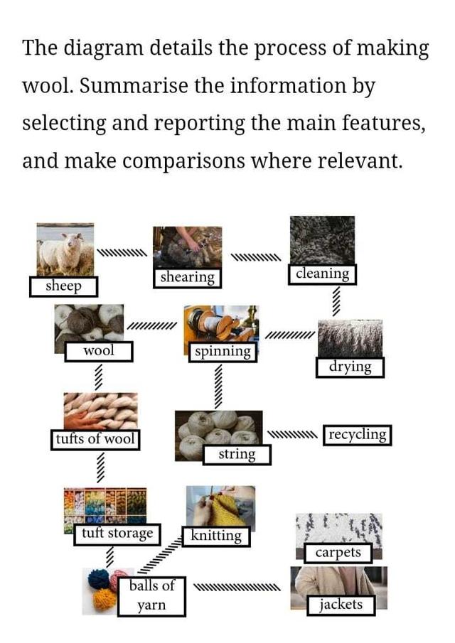 The diagram details the process of making wool. Summarise the information by selecting and reporting the main features, and make comparisons where relevant.