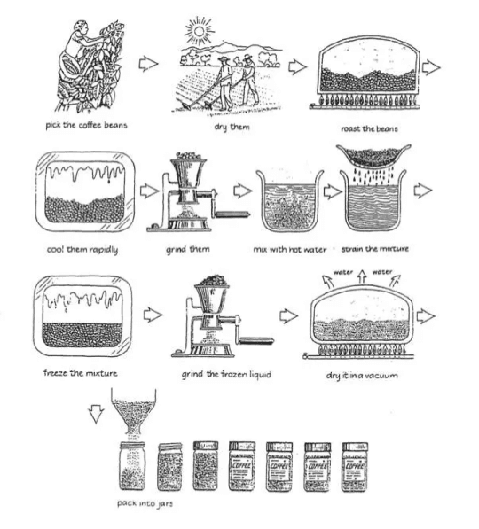 The diagram below shows the procedure for making a cup of coffee. Summarize the information by selecting and reporting the main features, and make comparisons where relevant.