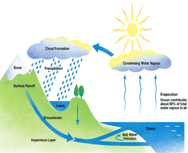 Write IELTS essay  with at least 150 words with the topic "The diagram below shows the water cycle, which is the continuous movement of water on, above and below the surface of the Earth. Summarize the information by selecting and reporting the main features and make comparisons where relevant."