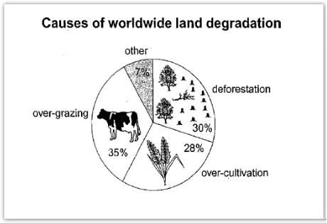 The pie chart illustrates the pivotal ground that negatively affects the productivity of agricultural land while the table shows information about the proportion of land degradation due to those effects categorized in three separate areas of the world within the 1990s period.