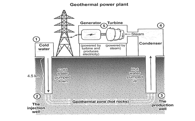 The diagram below shows how geothermal energy is used to produce electricity