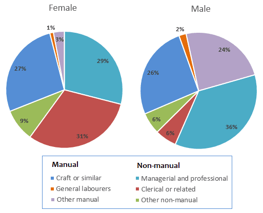 The pie charts give information about the proportion males and females in employment  in six  categories  divided into manual and non-manual occupations