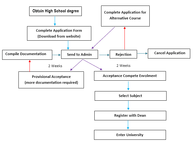 The diagram shows the procedure for university entry for high school graduates. Write a report for a university or college lecturer describing the information.