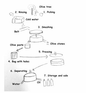 The diagram below shows the production of olive oil. Write a report for a university lecturer describing the information below.