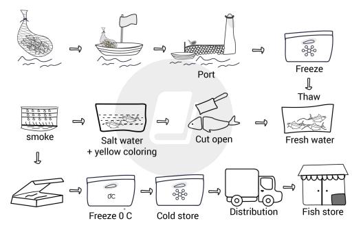 The diagram below shows the proccess of producing smoked fish.