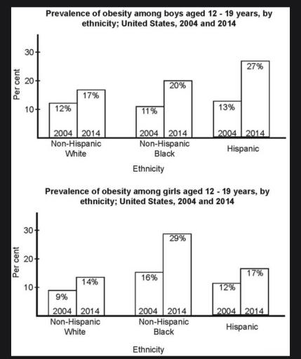 The bar charts below show the prevalence of obesity among boys and girls aged 12 to 19 years by ethnicity, in the United States for the years 2004 and 2014