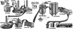 The diagram below show information about the production of beer.