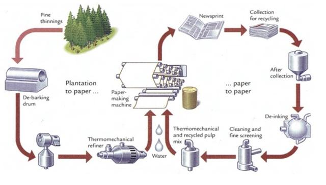 The diagram below shows how paper is made and recycled. Summarise the information by selecting and reporting the main features, and make comparisons where relevant.