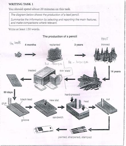 The diagram below shows the production of a lead pencil.