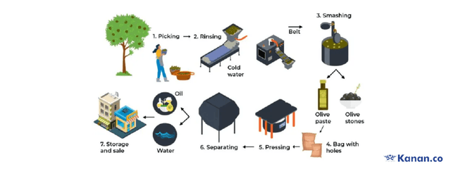 The diagram below shows the production of olive oil. Summarise the information by selecting and reporting the main features and make comparisons where relevant.