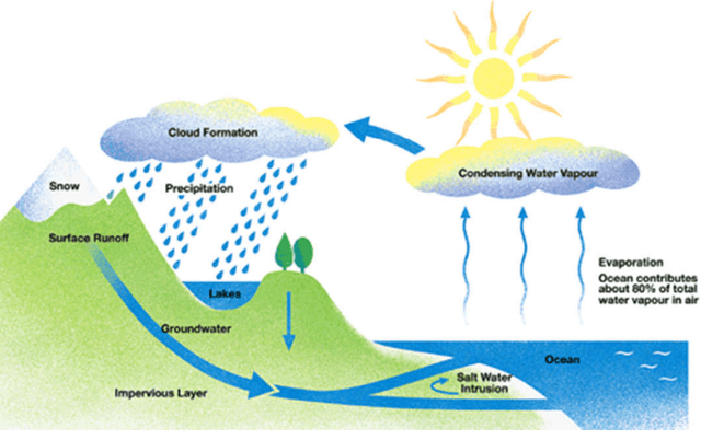 The diagram below shows the water cycle, which is the continuous movement of water on, above and below the surface of the Earth.