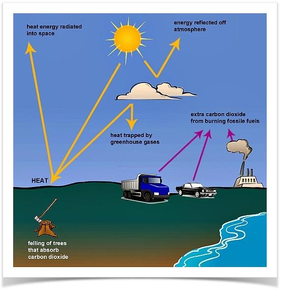 The following diagram shows how greenhouse gases trap energy from the Sun. Summarise the information by selecting and reporting the main features, and make comparisons where relevant.