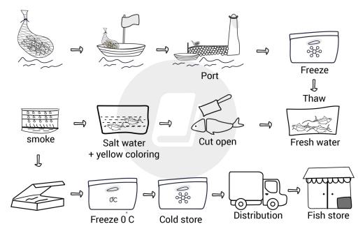 The diagram below shows the process of producing smocked fish.