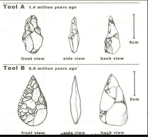 The diagram below shows the development of cutting tools in the Stone Age. Summarize the information by selecting and reporting the main features and make comparisons where relevant.