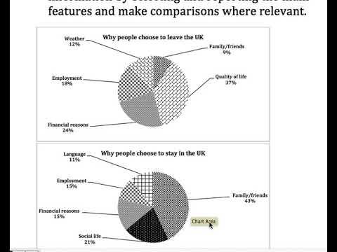 The charts below show the number of reasons why some people leave UK and why some people choose to stay. Summarize the information by selecting and reporting the main features, and make comparisons where relevant