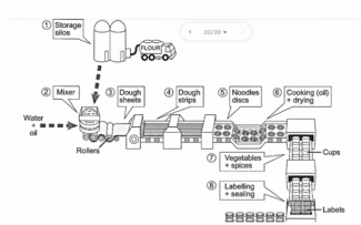 The diagram below shows how instant noodles are manufactured.

Summarise the information by selecting and reporting the main features, and make comparisons where relevant.