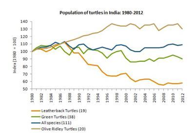 The graph shows the population figures for different types of turtles in india.