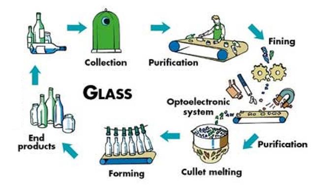 The diagram illustrates how the sugar made from the sugar cane plant.