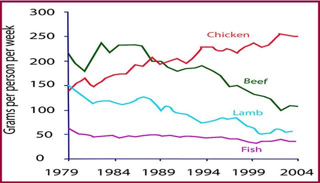 The graph shows the consumption of fish and some different kinds of meat in a European country between 1979 and 2004.