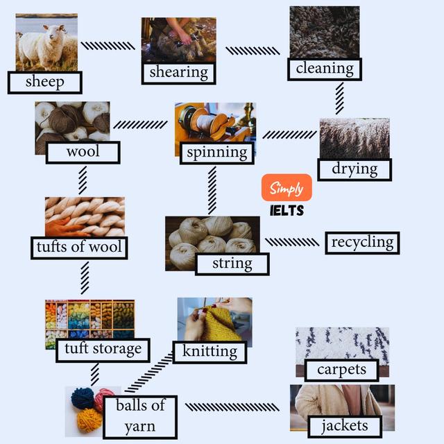 The diagram shows the different stages in the production of woolen goods. Summarise the information by selecting and reporting the main features and make comparisons where relevant.