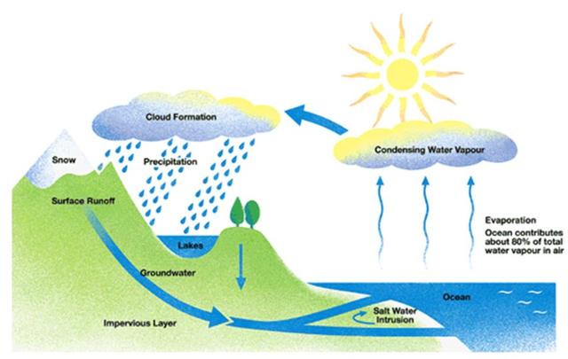 he diagram below shows the water cycle, which is the continuous movement of water on, above and below the surface of the Earth.