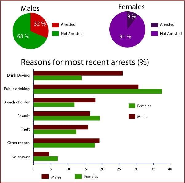 the pie chart shows the percentage of persons arrested in the five years ending 1994 and the bar chart shows the most recent reasons for arrest. summarise the information by selecting and reporting the main features and make comparisons where relevant.