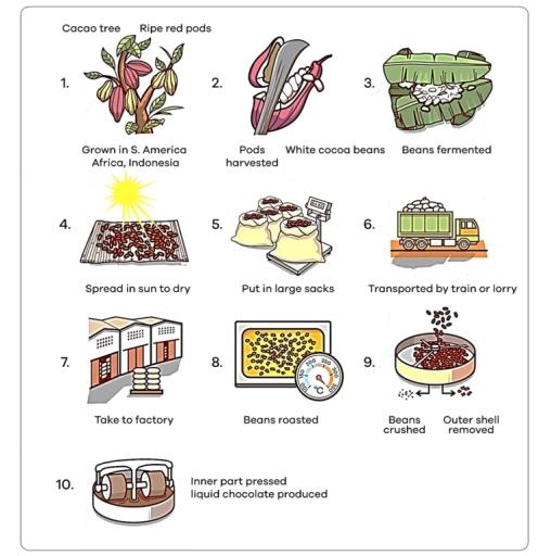 The diagram shows how chocolate is produced