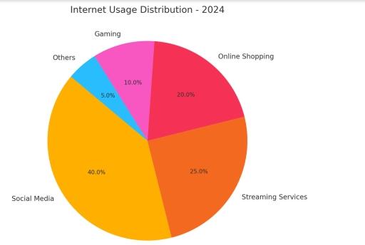 The chart below illustrates the distribution of internet usage across different categories in 2024.
