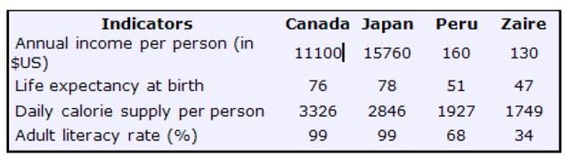 The table below shows social and economic indicators for four countries in 1994, according to United Nations statistics. Describe the information shown below in your own words. What implications do the indicators have for the countries?