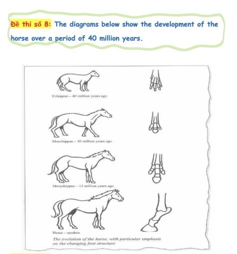 WRITING TASK 1

You should spend about 20 minutes on this task.

The diagram below shows the development of the horse over a period of 40 million years. The evolution of the horse, with particular emphasis on the changing foot structure.

Write a report for a university lecturer describing the information shown below.

You should write at least 150 words.

Writing task 1