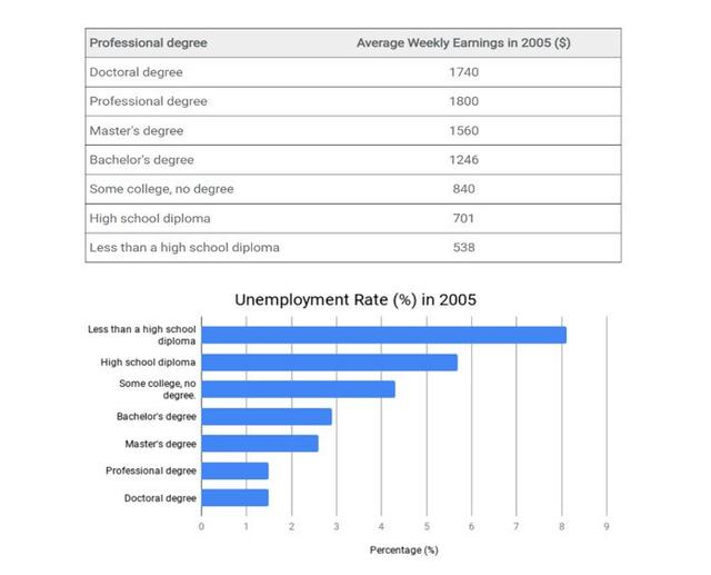 The table gives information about the employment of university graduates in the U.S. in 2005. Summarize the information by selecting and reporting the main features, and make comparisons where relevant.