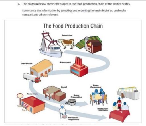 L. The diagram below shows the stages in the food production chain of the United States. 

Summarise the information by selecting and reporting the main features, and make comparisons where relevant.