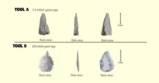 The diagram below shows the development of cutting tools in the Stone Age. Summarise the information by selecting and reporting the main features and make comparisons where relevant.