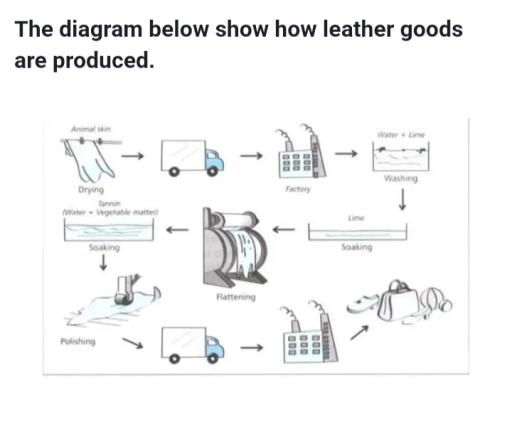 The diagram below shows how leather goods are produced.