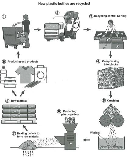 The diagram below shows how plastic bottles are recycled. Summarise the information by selecting and reporting the main features and make comparisons where relevant.