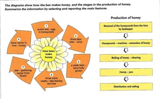 The diagrams show how the bee makes honey and the stages in the production of honey. Summarize the information by selecting and reporting main features and making comparisons where relevant.