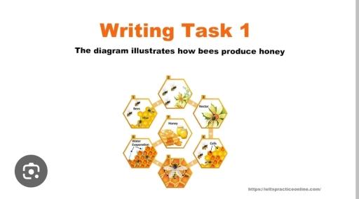 The diagram illustrates how bees produce honey.

Summarise the information by selecting and reporting the main features, and make comparisons where relevant.