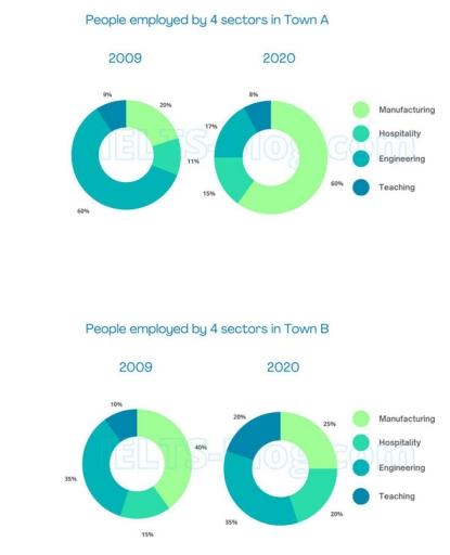 The charts below describe 4 sectors of employment, in 2009 and 2020, in two towns. Summarise the information by selecting and reporting the main features, and make comparisons where relevant.