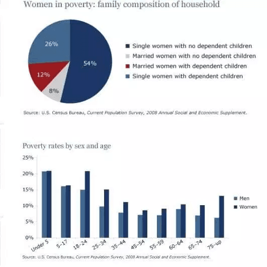 The pie chart shows women in poverty in the United States and bar chart compares poverty rates by gender.