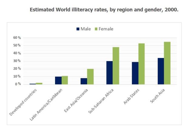 The chart below shows estimated world illiteracy rates by region and by gender for the year 2000.

Write a report for a university lecturer describing the information below.