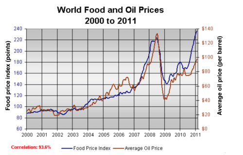 The graph below shows changes in global food and oil prices between 2000 and 2011. Summarize the information by selecting and reporting the main features, and make comparisons where relevant.