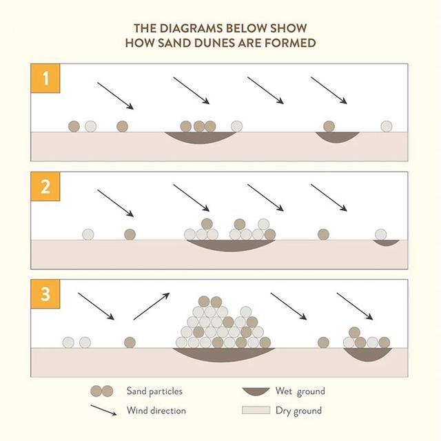 52.The diagram below shows the way in which sand dunes are formed. Summarize the information by selecting and reporting the main features, and make comparisons where relevant