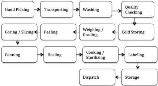 The diagram below shows the multistage production of pears as canned fruits Summarize the information by selecting and reporting the main features and mae comparisons with relevant.