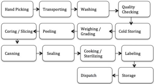 The diagram below shows the multistage production of pears as canned fruits

Summarize the information by selecting and reporting the main features and 

mae comparisons with relevant.