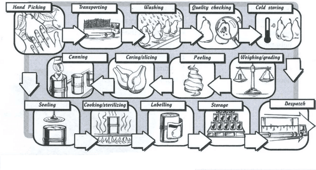The diagram shows the process for canning pears. Write a report of at least 150 words summarizing the main details and making comparisons where relevant.