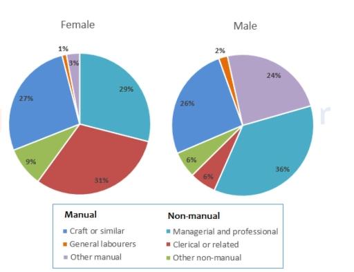 The two pie charts give information on the propotion of males and females in employment in six general categories in 1992, they divided into manual and non-manual. Manual occupation includes Craft or similar, General labourers and other manua